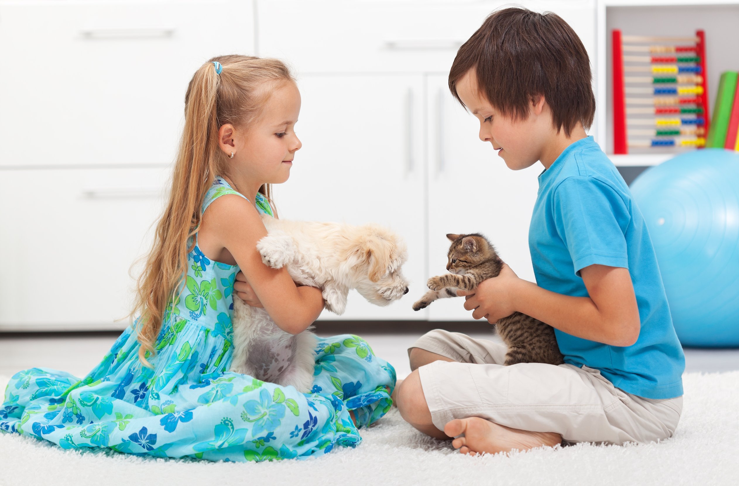 Give a talk about pets. Домашние животные для детей. Дети с домашними животными. Ребенок с кошкой и собакой. Кошка для детей.