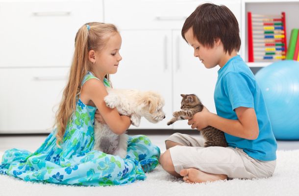 pets and children